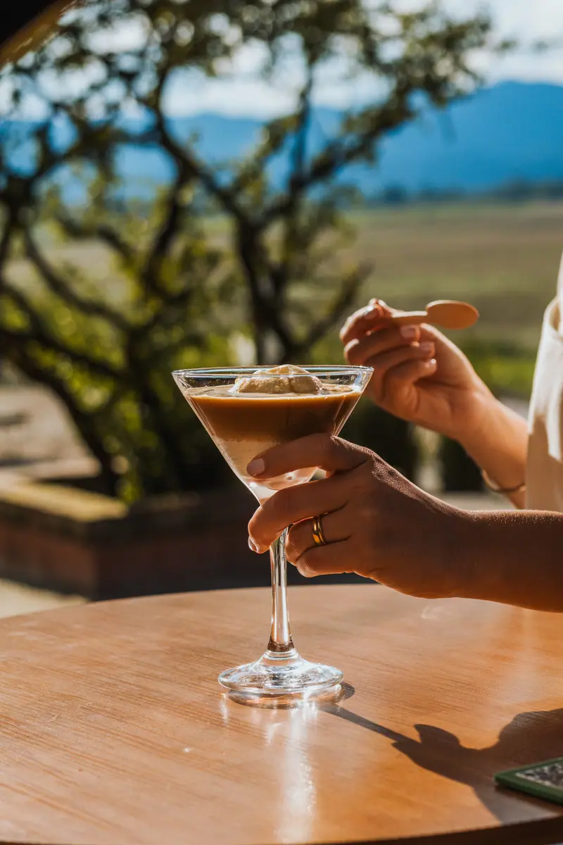 Taça de sorvete na mão, sobre a mesa de madeira, com árvores e a serra ao fundo